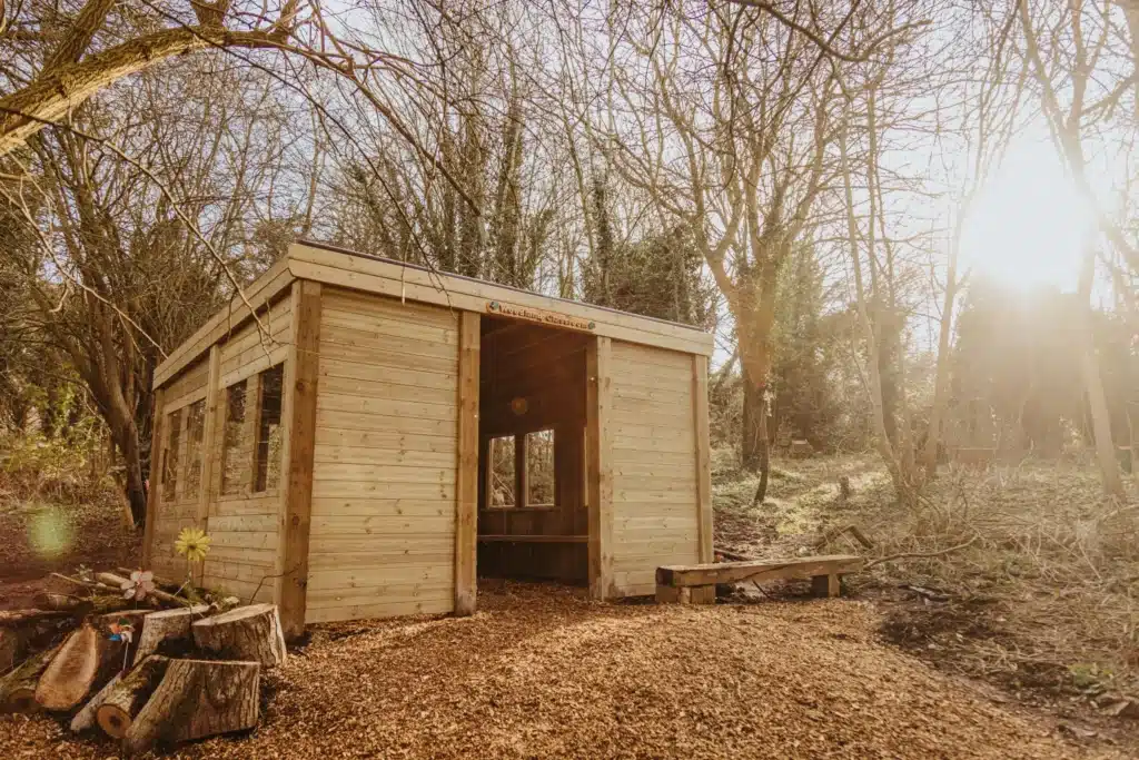 Forest School in the sunshine surrounded by nature